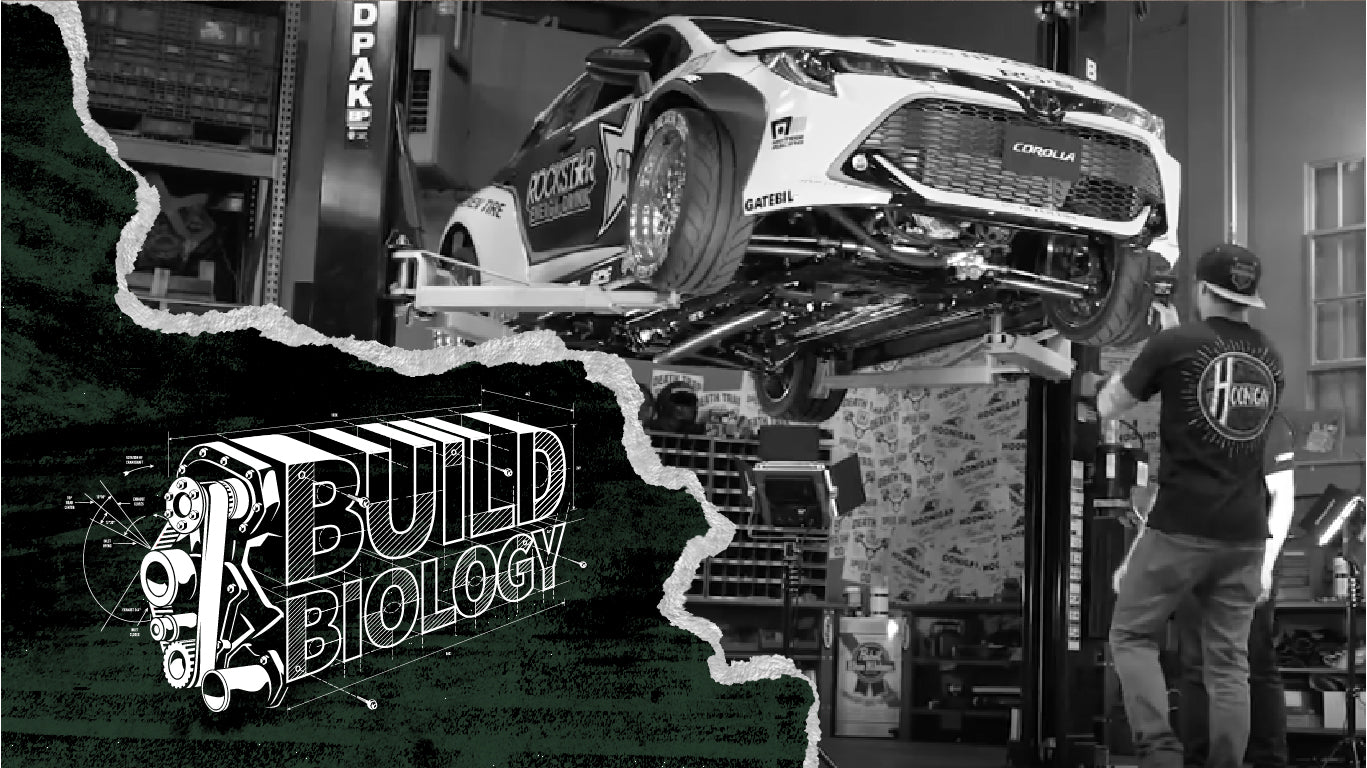 Build Biology