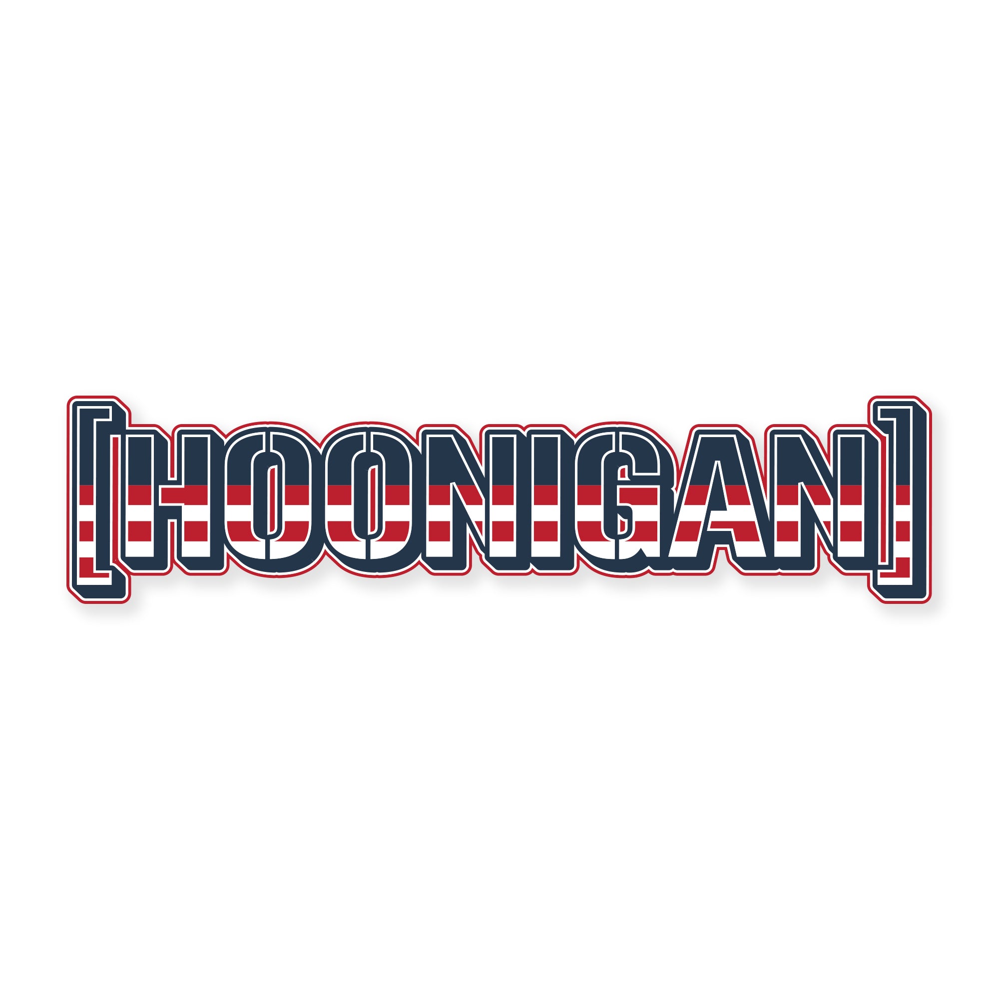 Hoonigan USA sticker, 8 inches, featuring bold text with red, white, and blue stripes and outline design.