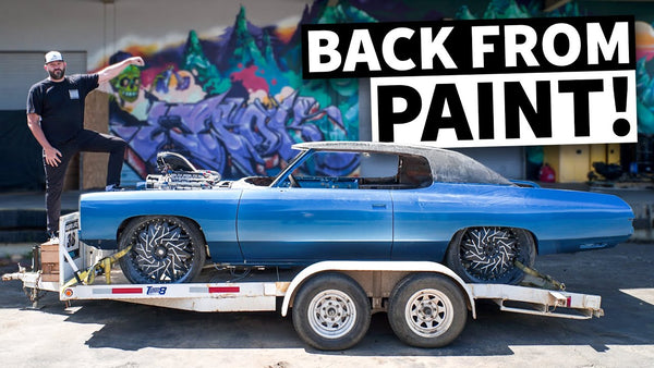 Fresh Paint, Carbon Roof: Our Donk is BACK. But What Color is it *Really*??